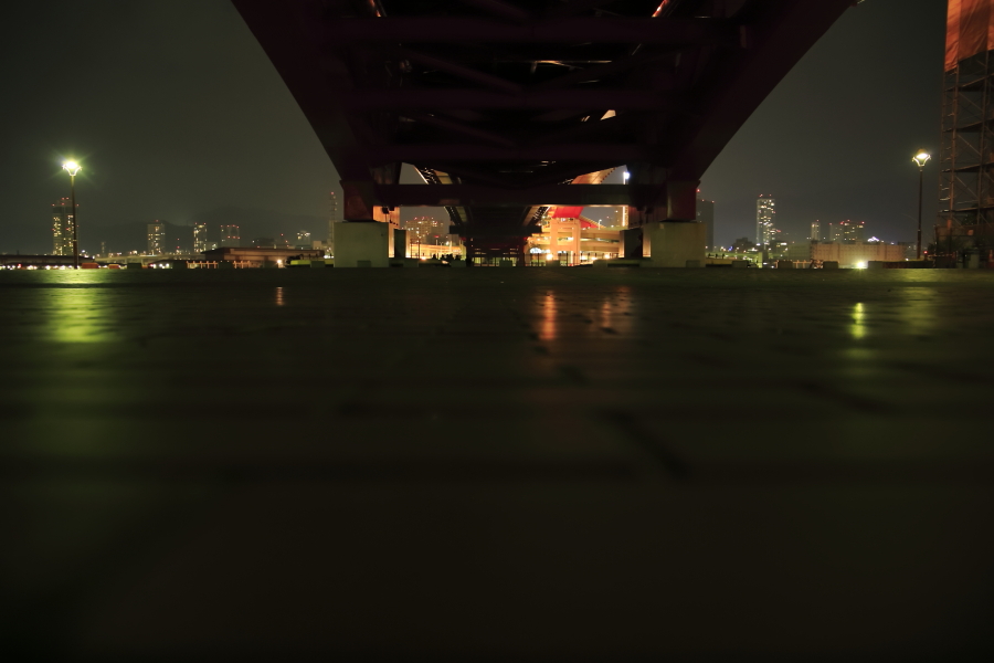 _07A9293s.JPG
