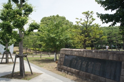 DSC05515.JPG