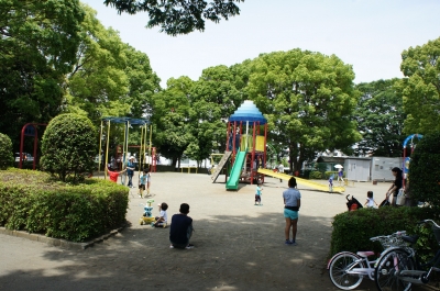 DSC05518.JPG