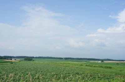 DSC06995.JPG