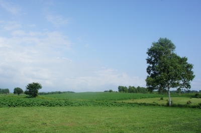 DSC07022.JPG