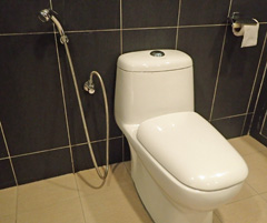 10toilet1a.jpg