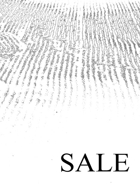 R450sale.jpg