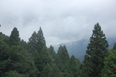 DSC_3807.JPG