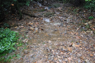 DSC_3816.JPG