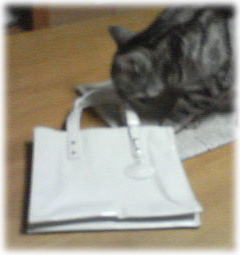 20070126
