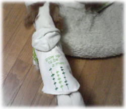 20070311-11