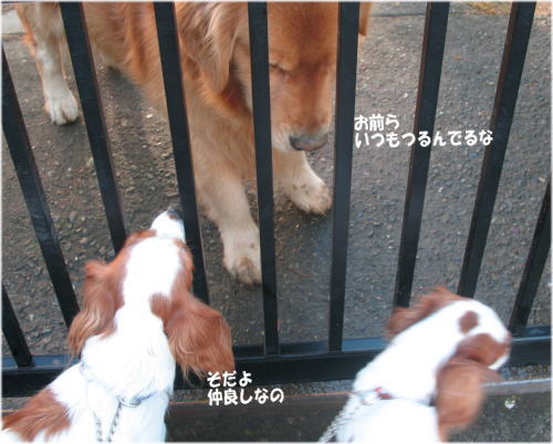20081125-03