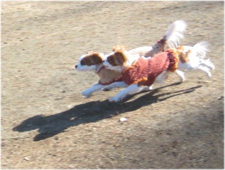 20081130-08