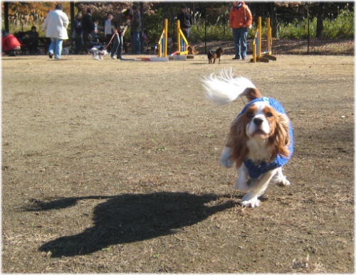 20081130-10