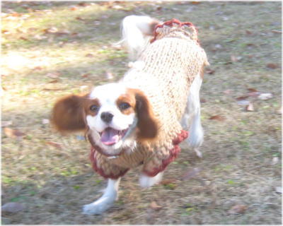 20081130-14