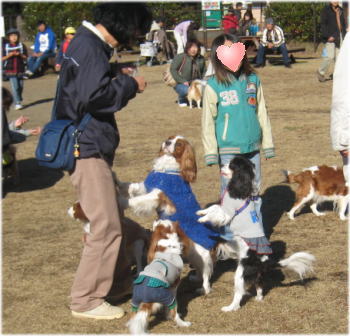20081130-17