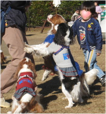20081130-19