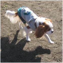 20081130-b01