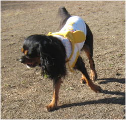 20081130-b05