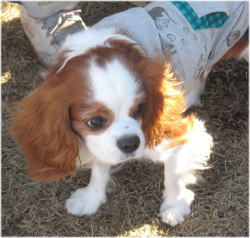 20081130-b07