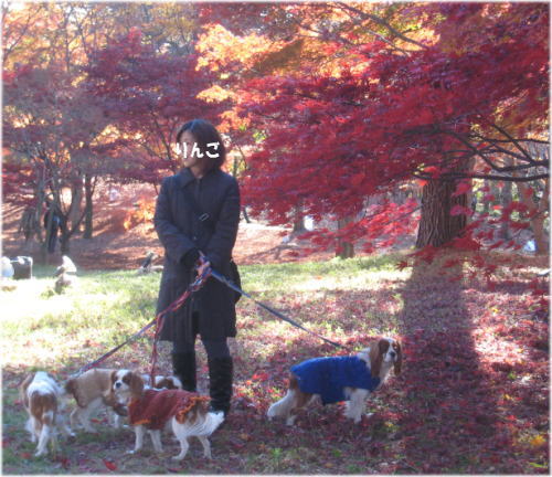 20081130-27