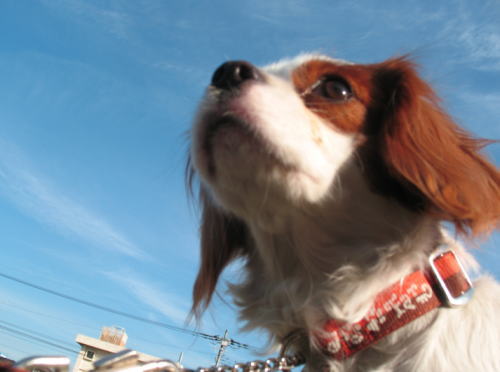 20090108-04