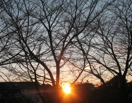 20090112-07