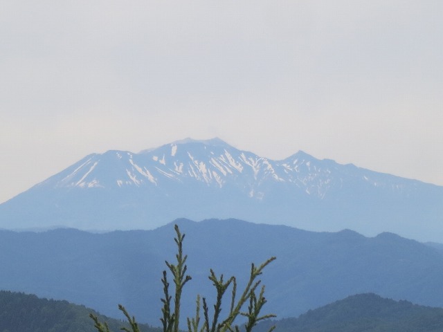 IMG_7482.jpg