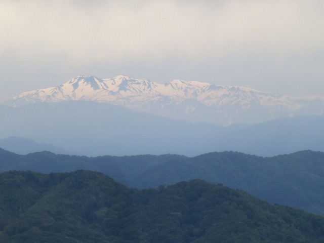IMG_7483.jpg