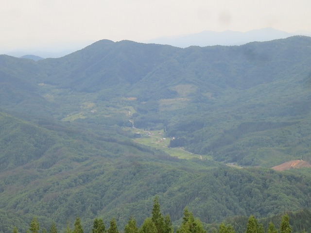 IMG_7491.jpg