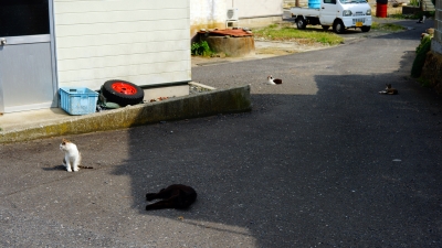 田代島
