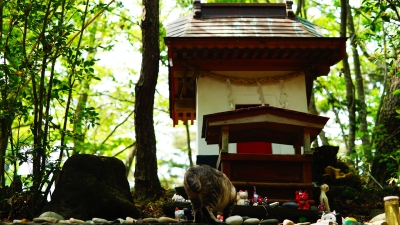田代島 猫神社