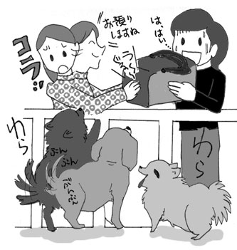 犬 保育園 チワワ ホテル ドッグ ドギールーム 犬見知り