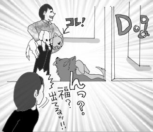 犬 保育園 チワワ ホテル ドッグ ドギールーム 犬見知り