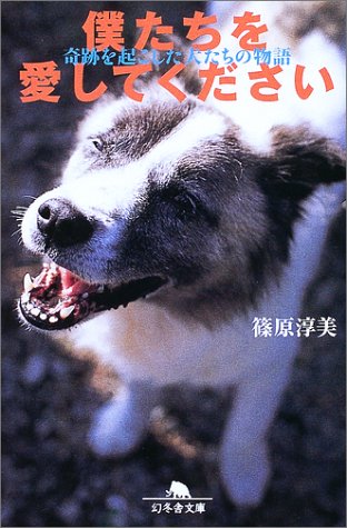犬 保健所 里親 f-dex