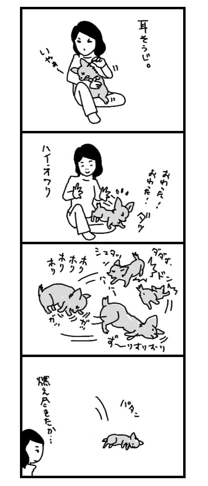 耳掃除 マンガ ガウリン福と保護犬ちぃ 吠え老犬日記