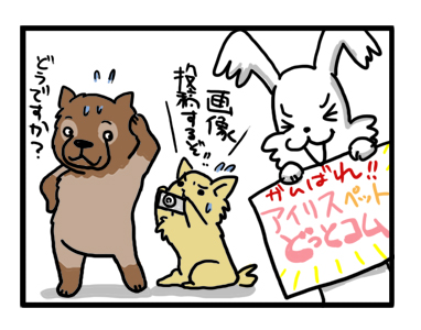 アイリス ペット 仙台 頑張れ
