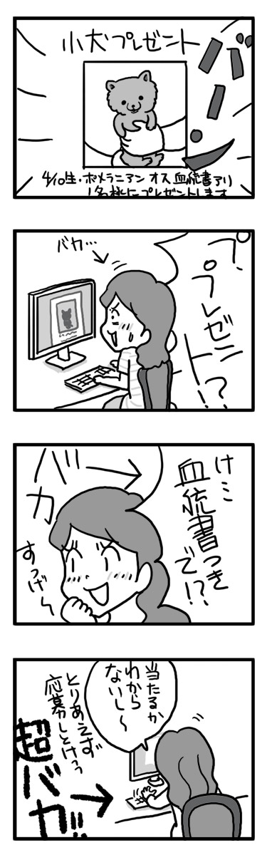 マル 出生 犬 プレゼント