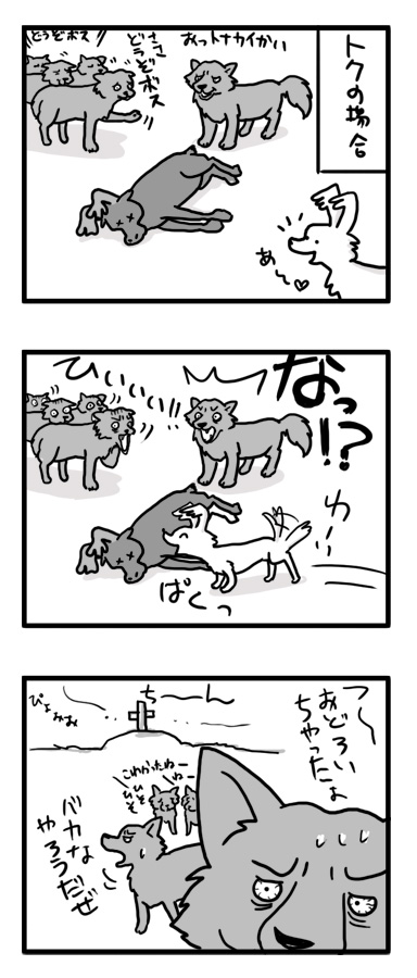 もしも オオカミ トク マルチーズ