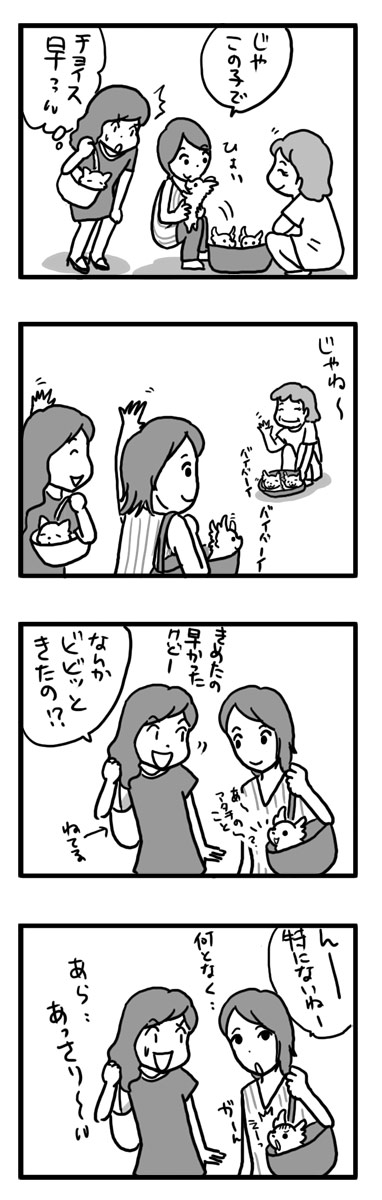 子犬 ミックス もらわれた トク