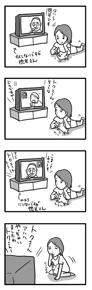 トク 徳光さん 犬 子犬