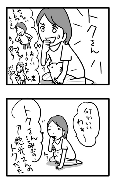 トク 徳光さん 犬 子犬