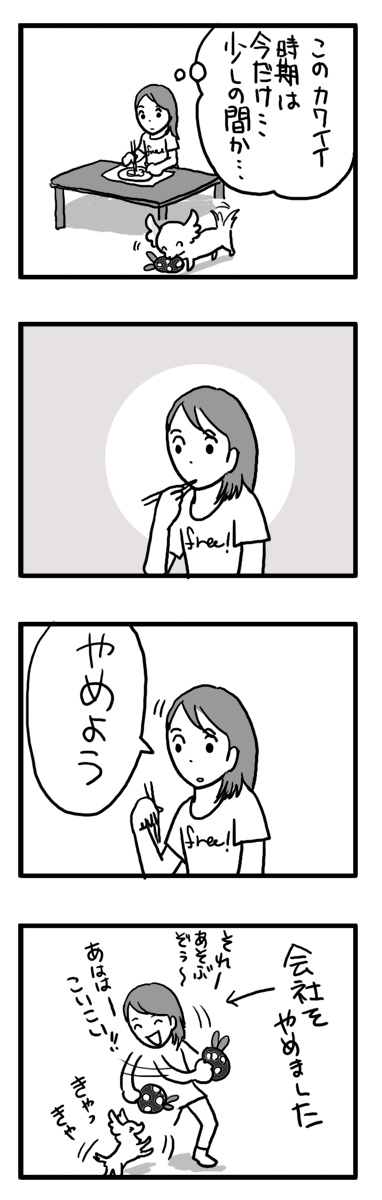 トク 子犬 ルミ 漫画 マンガ スピッツ マルチーズ