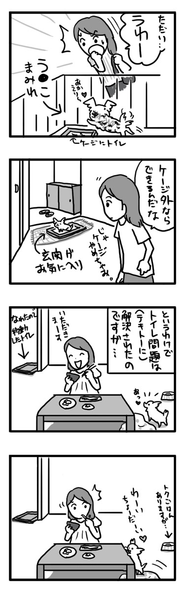 トク マルチーズ スピッツ MIX しつけ 失敗 小犬 漫画 マンガ