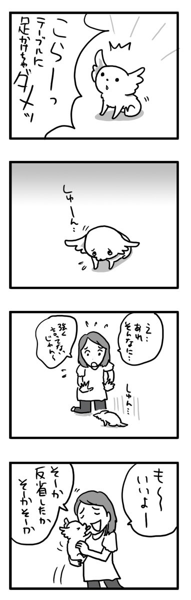 トク マルチーズ スピッツ MIX しつけ 失敗 小犬 漫画 マンガ