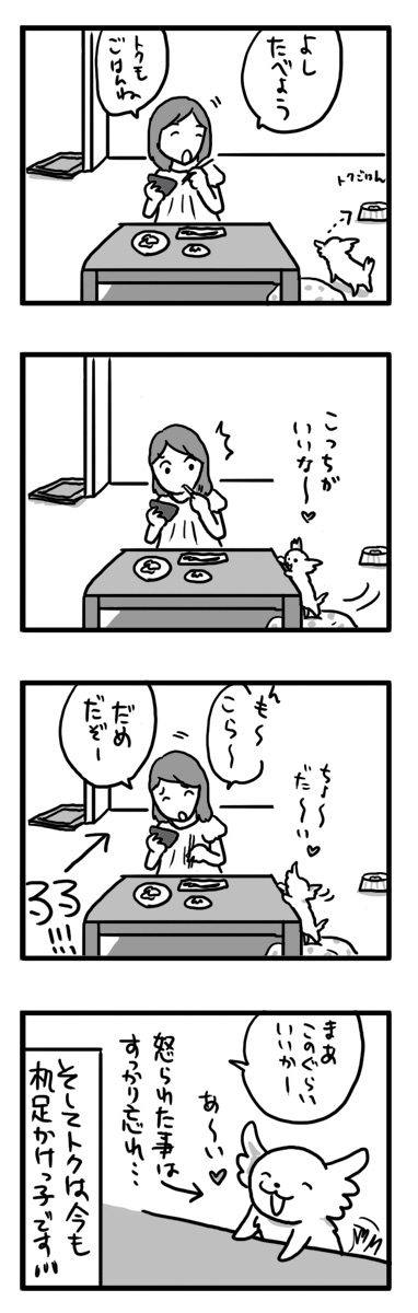 トク マルチーズ スピッツ MIX しつけ 失敗 小犬 漫画 マンガ