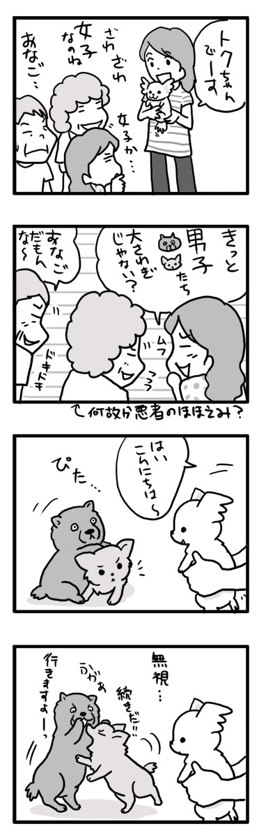 ベイビー トク 小犬 マンガ 漫画