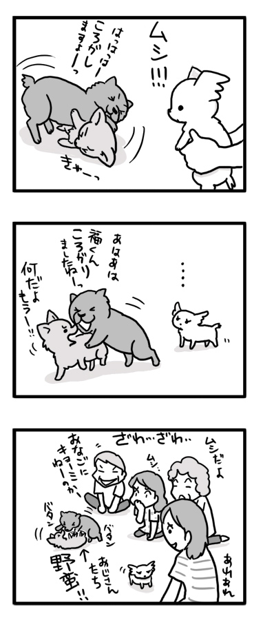 ベイビー トク 小犬 マンガ 漫画