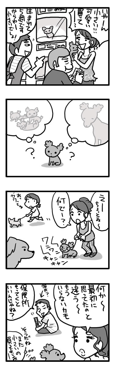 パブリック コメント 環境省 犬 ペット 保健所 漫画 マンガ
