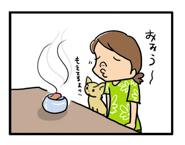 パピエダルメニイ お香 香り 燃やす イラスト 漫画