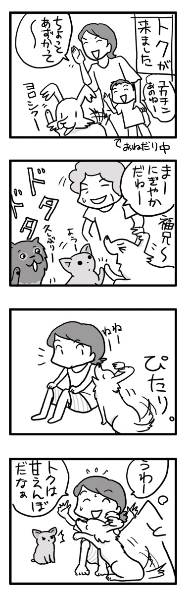 トク 預かり 実家 犬 多頭 賑やか マンガ まんが 漫画