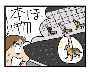 盲導犬 舞台 蜷川 文化村 シェパード まんが イラスト