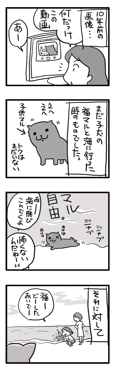 海 犬 千葉 チワワ ポメ 小犬 じゃれる 老人 まんが マンガ 漫画
