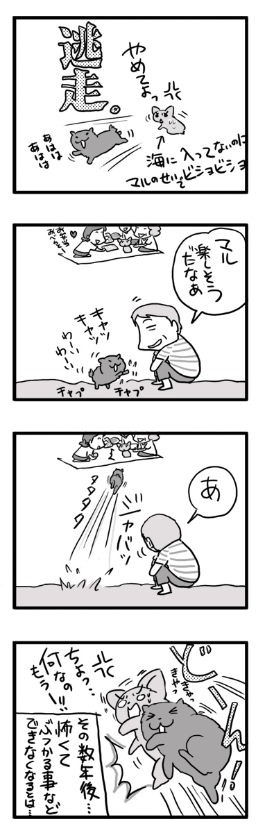海 犬 千葉 チワワ ポメ 小犬 じゃれる 老人 まんが イラスト
